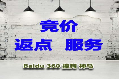 百度竞价代理实战技巧：经典案例深度解读